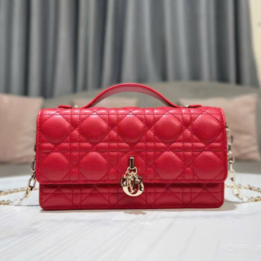 DIOR POCHETTE LAD.